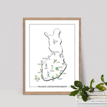 Lataa kuva Galleria-katseluun, Finlands Landskapsblommor Poster 30 x 40 cm