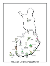 Lataa kuva Galleria-katseluun, Finlands Landskapsblommor Poster 30 x 40 cm